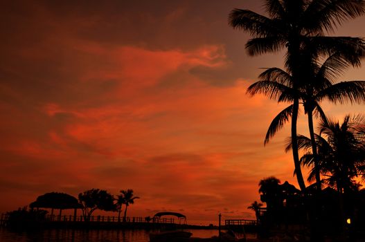 Tropical Sunset - Orange Sky, Atlantic Ocean and Palm Trees. Relaxing Tropical Theme