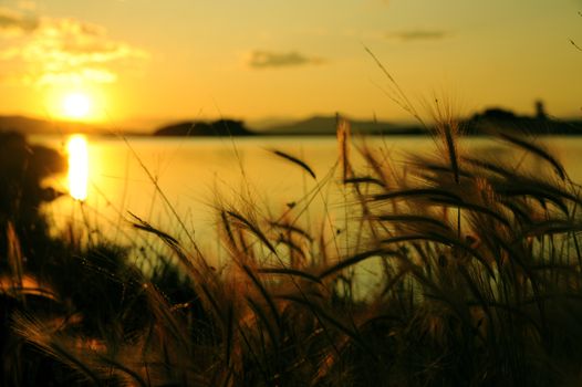 Eleven Miles State Park Lake - Sunset