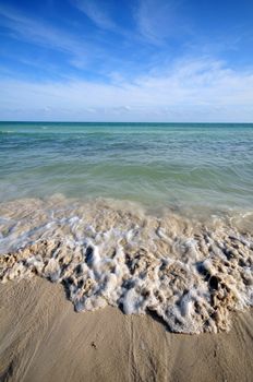 Ocean Front. South Florida Beach. Vertical Photo