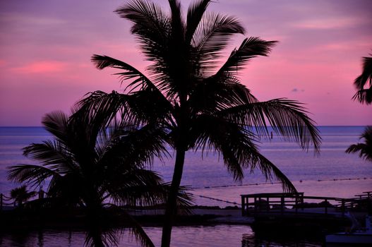 Exotic Sunset with Palms and Atlantic Ocean.