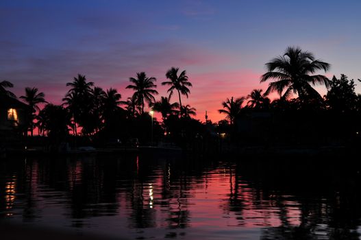 Exotic Island in Sunset. Palm Trees and Sounds of Ocean.