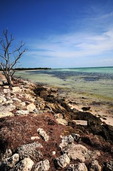 Bahia Honda State Park Beach. South Florida USA. Vertical Photo