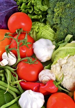 Vegetables Vertical Photo. Multi Vegetables Composition. Tomatoes, Garlic, Greens, Mushrooms and Broccoli. Vegetables Vertical Photography