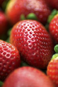 Strawberry Macro Photography. Fresh Strawberries. Vertical Photo.