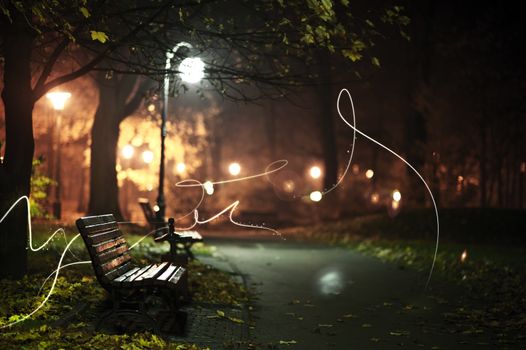 Magic Particles in the Mysterious Park. Flying Particles - Light Rays Between Trees During Night Hours. Cool Magic Park Picture