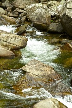 Clear Mountain River. Colorado Scenic - Colorado Rocky Landscape