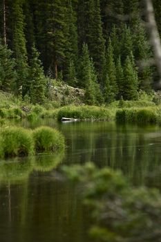 Colorado Forest and Mountain Lake. Beauty of Nature