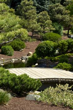 Small Wood Garden Bridge. Beautiful Spring Garden with Many Plants and Small Stream. Vertical Photo.