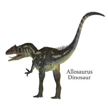 Allosaurus was a carnivorous theropod dinosaur that lived in North America in the Jurassic Period.