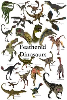 A collection of various feathered dinosaurs from different prehistoric periods of Earth's history.