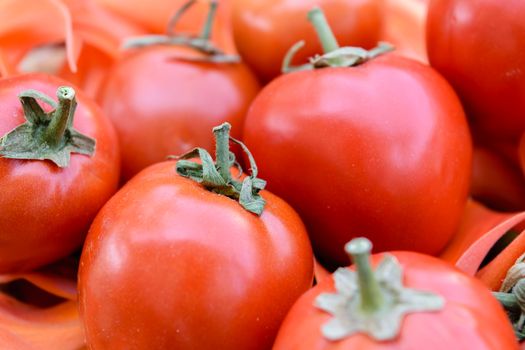 Ripe red tomatoes on flowers