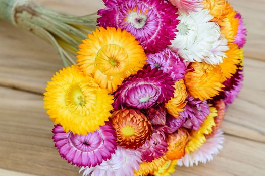 Beautiful strawflowers on wooden table