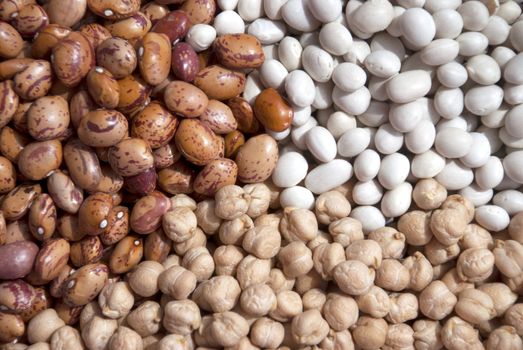 Mixed pulses for backgrounds (Haricot beans, kidney bean and chickpea)