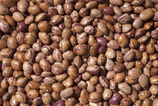 Kidney beans for backgrounds texture