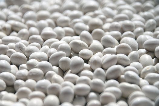 haricot beans for Background  texture.