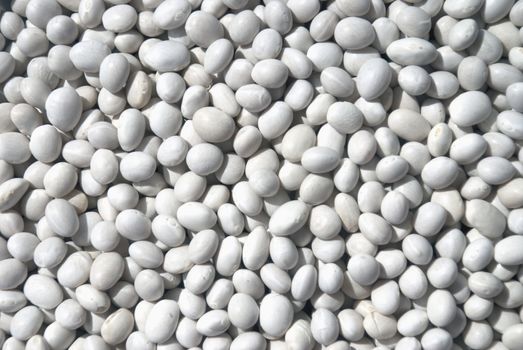 haricot beans for Background  texture.