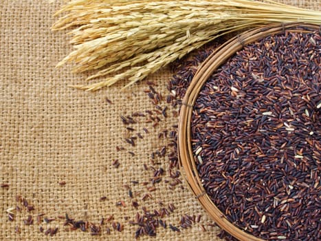 riceberry in basket with rice on sack background