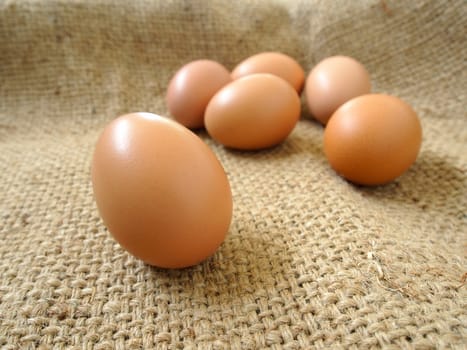 Eggs on sack background