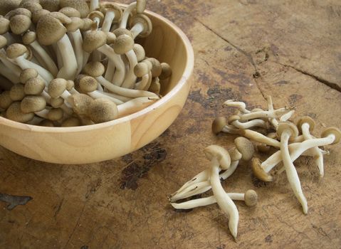 Preparing shimeji mushroom for cooking