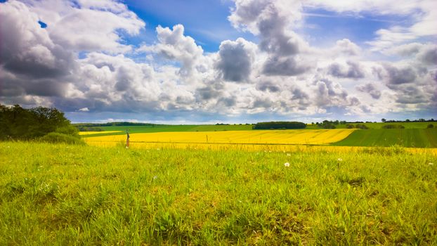 Summer landscape with clouds