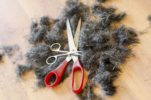 Human hair and scissors over wooden floor