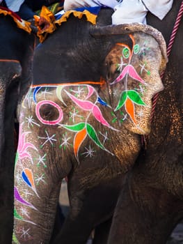 A painted elephant in India serves as a mode of transportation for locals. 