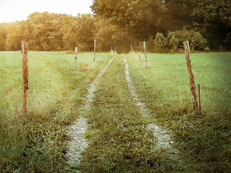 Beaten track or worn path through meadow toward foliage trees with poles around, center composition, moving towards objective, nostalgic vintage feeling, warm rays of light, natural landscape of central Europe