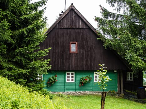Traditional mountain chalet, cottage or hut made of wood surrounded by spruce trees, painted green and brown with lawn in front of, relaxing vacation, local accommodation in Czech republic, central Europe, Orlicke hory