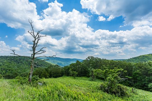 Rain falls in the distance over the Appalchian Mountains at Shenandoah National Park.