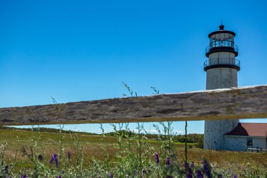 The Highland Light at Truro on Cape Cod stands out against a clear bue sky.