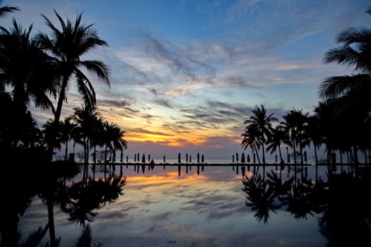 Twilight Silhouette coconut tree near beach pool