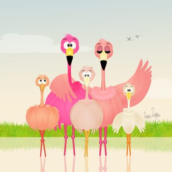 illustration of family of pink flamingos