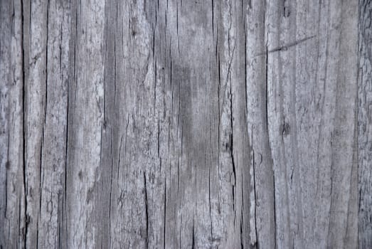 High resolution grunge wood backgrounds.High resolution grunge wood backgrounds