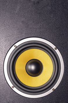 Details of loudspeaker woofer, coloured yellow