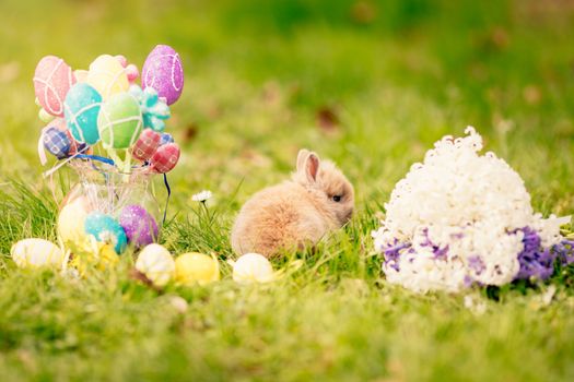 Cute little bunny with flowers and Easter eggs on the grass in spring holidays.