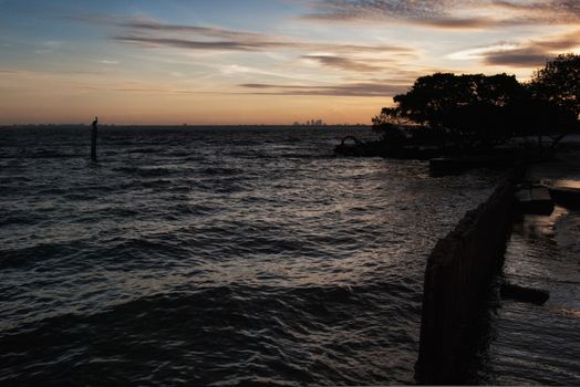 Cityscape of Tampa and Tampa Bay, pelican sitting on pilon, silhouette of trees with pink and orange sunset and clouds.