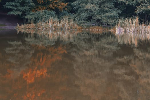 Idyllic calm pond landscape in the forest. Trees and plants are reflected in the water.