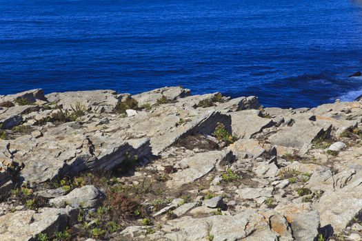 Rocky Coast Extending into the Sea