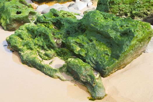 Green stones on the seashore