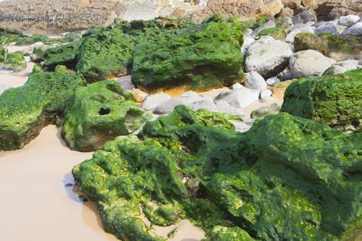 Green stones on the seashore