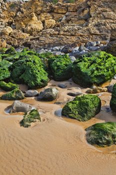 Green stones on the seashore