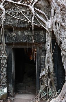 The ruins of Angkor Wat Temple in Cambodia