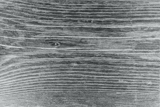 Wooden line texture. Surface of wood texture with natural pattern. Grunge plank wood texture background. Black and white photography