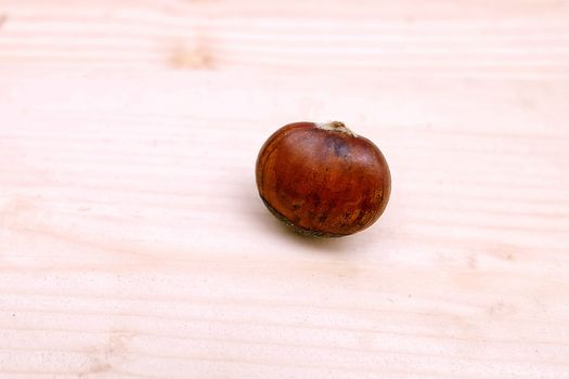 Chestnut on the Table Wooden