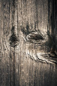 abstract background or texture detail shabby old wood board