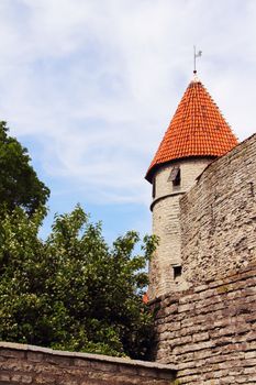 View of Towers of Tallinn castle in summer