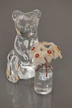 bear Crystal figurine and  bouquet  Hoya flowers in vase