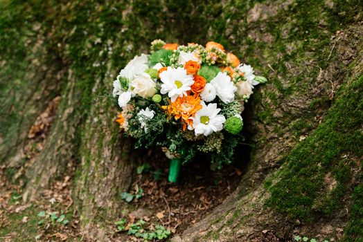 Lush wedding bouquet of white and orange chrysanthemums under a tree covered with moss