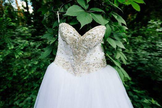 Beautiful white wedding dress hanging on a tree with ivy in sunny day. Lace top wedding dress