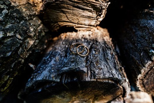 Gold wedding rings are on a log 